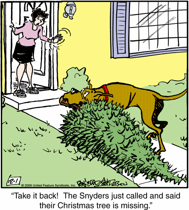 marmaduke